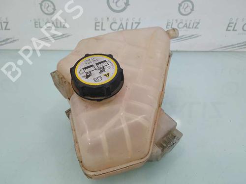 Expansion tank FORD FIESTA VI (CB1, CCN) 1.4 TDCi | BP8087015C120 