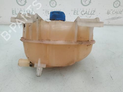 Expansion tank FIAT PUNTO EVO (199_) 1.3 D Multijet (199AXC1A, 199BXC1A, 199AXT1A, 199BXT1A) | BP8096827C120 