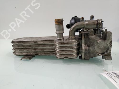 Egr AUDI A3 (8P1)  | BP29955710M69 