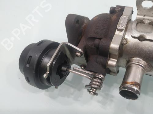 Egr RENAULT SCÉNIC II (JM0/1_) | BP30511209M69