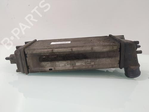 Intercooler FORD FIESTA VI (CB1, CCN) 1.6 TDCi | BP29904442M30