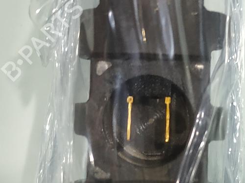 Injector SSANGYONG REXTON / REXTON II (GAB_)  | BP25747058M100 