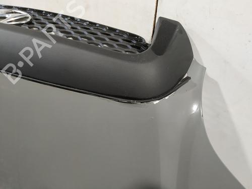 Hood HYUNDAI SANTA FÉ I (SM) 2.0 CRDi | BP15838903C1 