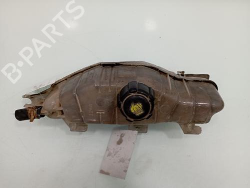 Used Expansion tank RENAULT CLIO III (BR0/1, CR0/1) 1.5 dCi (BR17, CR17) (86 hp) 15412327