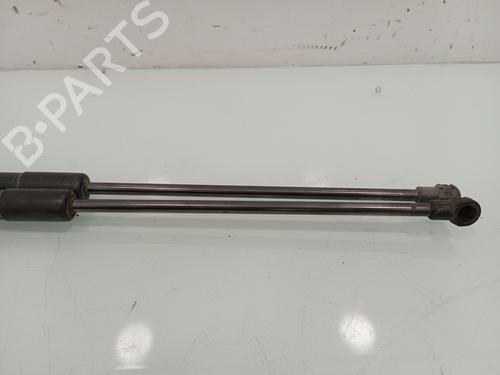 Tailgate lift support NISSAN QASHQAI / QASHQAI +2 I (J10, NJ10, JJ10E) 1.5 dCi | BP14031250C138 