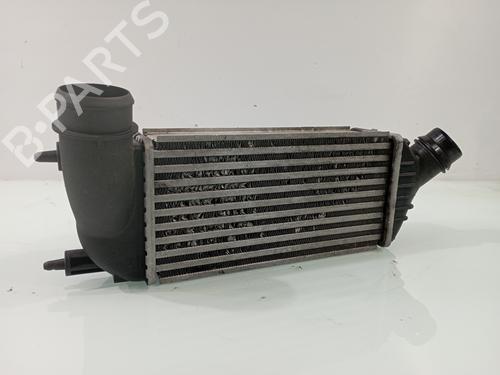 Ladeluftkühler CITROËN JUMPY II Platform/Chassis 2.0 HDi 125 | BP29830936M30 