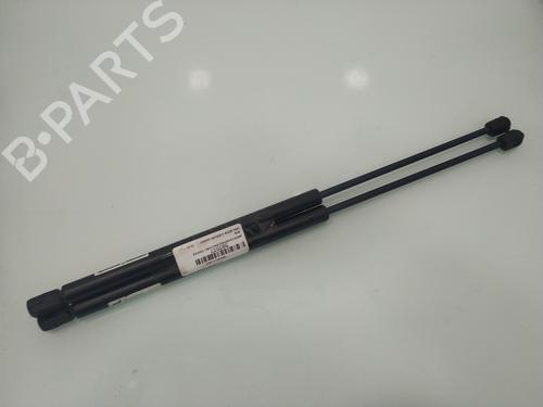 Tailgate lift support OPEL ASTRA G Hatchback (T98) 1.6 (F08, F48) BP22698014C138