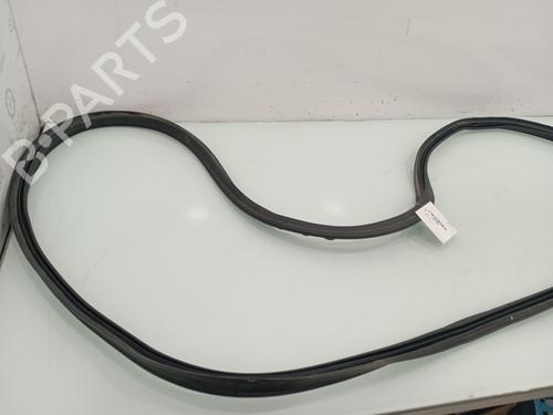 Rubber door seal AUDI Q5 (FYB, FYG) 3.0 TDI quattro | BP14031553C142 