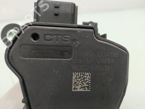 Pedal NISSAN JUKE (F15) 1.6 | BP13117848I4
