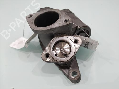 Egr RENAULT MEGANE II (BM0/1_, CM0/1_)  | BP25747133M69 