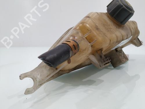 Expansion tank RENAULT CLIO III (BR0/1, CR0/1)  | BP27322996C120 