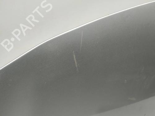 Hood RENAULT CLIO III (BR0/1, CR0/1) 1.5 dCi (C/BR0G, C/BR1G) | BP9195949C1 