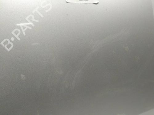 Hood RENAULT CLIO III (BR0/1, CR0/1) 1.5 dCi (C/BR0G, C/BR1G) | BP9195949C1 