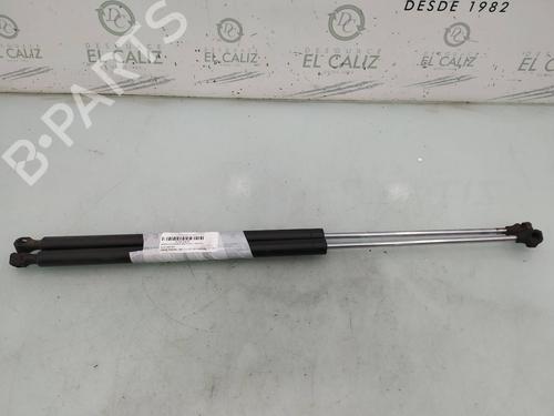 Gasdæmper bagklap LANCIA PHEDRA (179_) 2.2 JTD (179AXC1A) (128 hp) 14030177