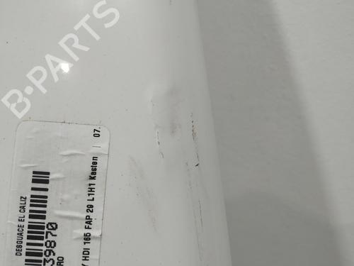 Tailgate CITROËN JUMPY II Platform/Chassis 2.0 HDi 125 | BP29452614C6 