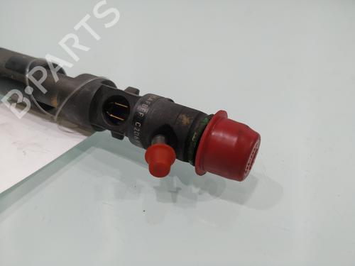 Injector RENAULT MEGANE II (BM0/1_, CM0/1_)  | BP28191619M100 