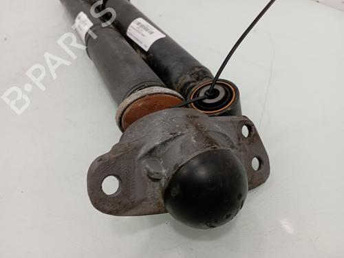 Right rear shock absorber AUDI A3 (8P1) 2.0 TFSI quattro | BP14031625M19 