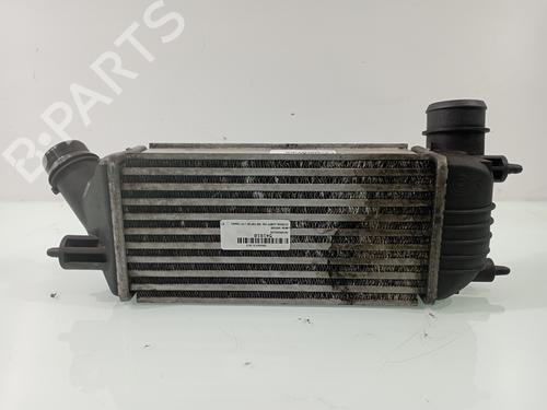Ladeluftkühler für CITROËN JUMPY II Platform/Chassis 2.0 HDi 125 (128 hp) 29830936