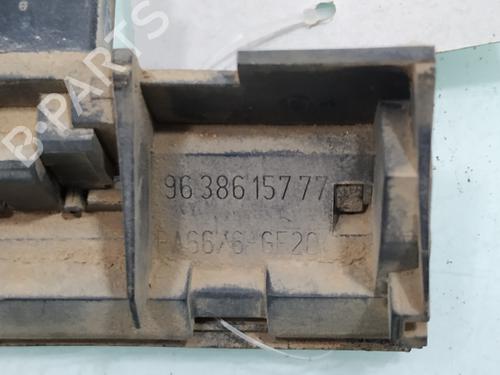 Tailgate handle PEUGEOT 307 Break (3E) 2.0 HDI 110 | BP14831992C132 