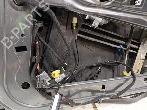 Dør højre fortil BMW 7 (E65, E66, E67) 730 Ld | BP31328931C3 