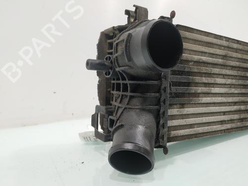 Intercooler FORD C-MAX II (DXA/CB7, DXA/CEU) | BP30929384M30