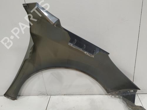 Left front fenders PEUGEOT 207 (WA_, WC_) 1.4 HDi | BP29156836C41 