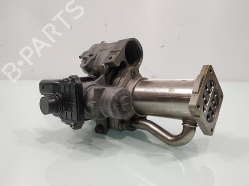 EGR-Ventil RENAULT MEGANE II (BM0/1_, CM0/1_) [2001-2012]  31124473