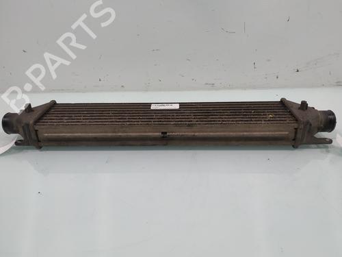 Intercooler FIAT BRAVO II (198_) 1.6 D Multijet (198AXH1B) | BP31670518M30 