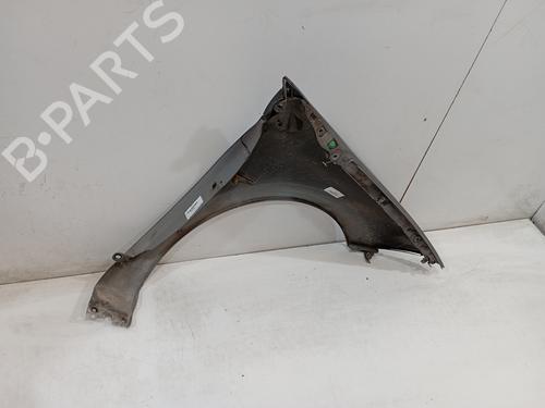 Left front fenders RENAULT MEGANE II Saloon (LM0/1_) 1.9 dCi (LM0G, LM1G, LM2C) | BP13091184C41 
