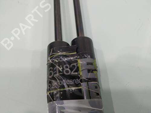 Tailgate lift support DACIA SANDERO II  | BP25119923C138 