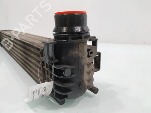 Intercooler RENAULT MEGANE III Hatchback (BZ0/1_, B3_) 1.5 dCi (BZ1G, BZ1W, BZ0R) | BP31887823M30 - Image 6