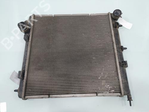 Used Water radiator PEUGEOT 207 (WA_, WC_) 1.4 HDi (68 hp) 28584179
