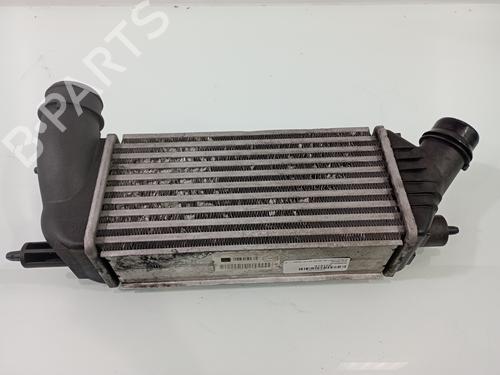 Ladeluftkühler CITROËN JUMPY II Platform/Chassis 2.0 HDi 125 | BP29830936M30 