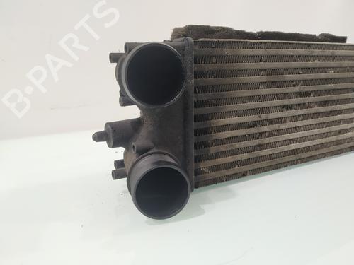 Intercooler FORD FIESTA VI (CB1, CCN) 1.6 TDCi | BP29904442M30