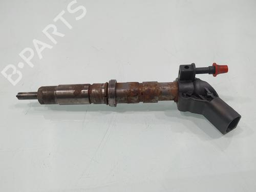 Injector VW CRAFTER 30-50 Van (2E_)  | BP31248202M100 