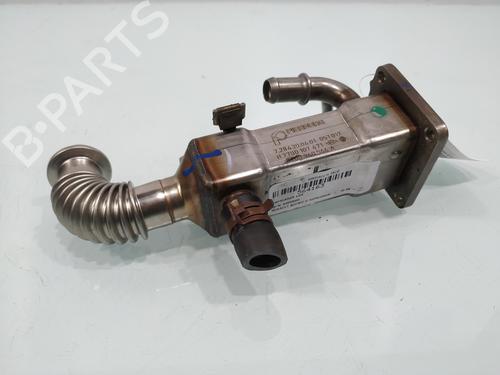 Egr RENAULT SCÉNIC II (JM0/1_) [2003-2010]  32072094