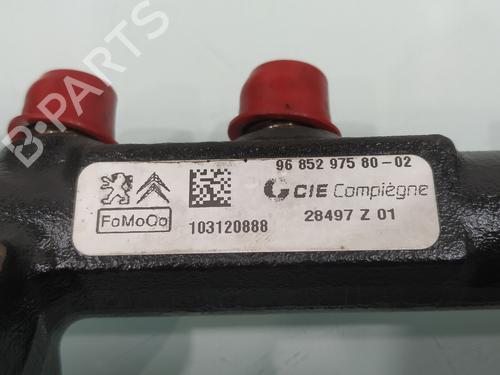 Sprederrør FORD C-MAX II (DXA/CB7, DXA/CEU)  | BP30930314M98 