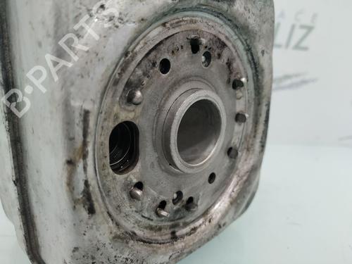 Oil radiator SEAT IBIZA III (6L1)  | BP14029176M33 