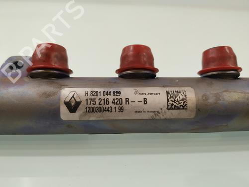 Injection rail RENAULT GRAND SCÉNIC III (JZ0/1_) 1.6 dCi (JZ00, JZ12) | BP29156886M98 