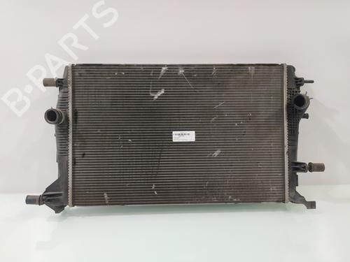 Kjøler RENAULT GRAND SCÉNIC III (JZ0/1_) 1.6 dCi (JZ00, JZ12) (130 hp) 29156885