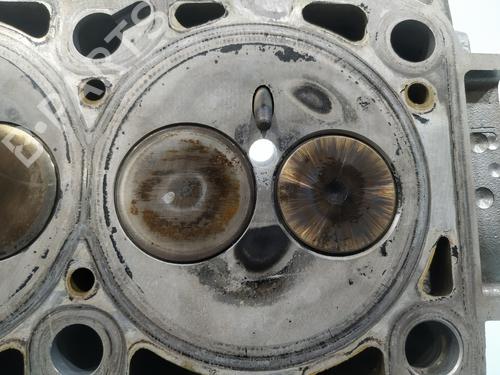 Cylinder head SEAT IBIZA III (6L1)  | BP26394626M5 