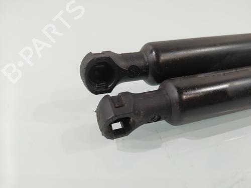 Tailgate lift support RENAULT GRAND SCÉNIC III (JZ0/1_) 1.6 dCi (JZ00, JZ12) | BP29834493C138 