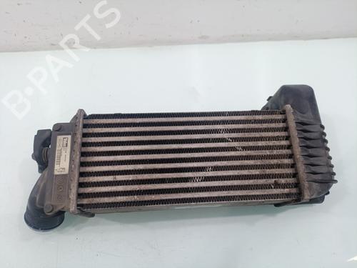 Intercooler PEUGEOT 607 (9D, 9U)  | BP33955029M30  - Image 7