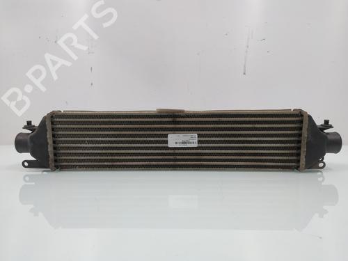 Intercooler FIAT LINEA (323_, 110_) 1.4 T-Jet (323AXC1A) | BP28196029M30 