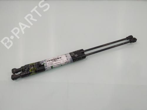 Used Tailgate lift support DACIA SANDERO II [2012-2025]  25119923