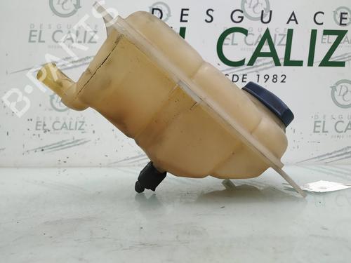 Expansion tank VW PASSAT B5 (3B2) 1.9 TDI | BP8186080C120 