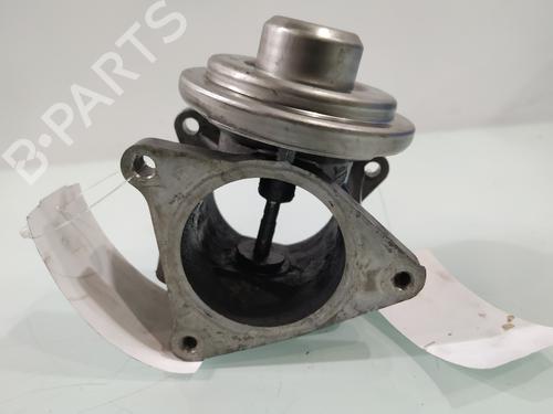 Egr AUDI A3 (8P1)  | BP29955718M69 
