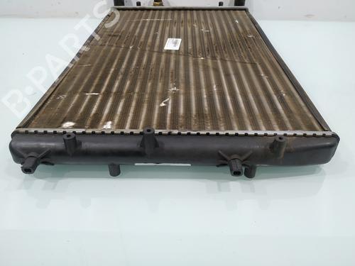 Water radiator SEAT IBIZA III (6L1)  | BP31930789M31 