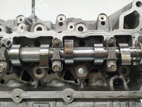 Cylinder head RENAULT MEGANE II (BM0/1_, CM0/1_) | BP31127389M5