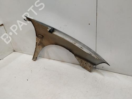 Left front fenders SEAT IBIZA III (6L1)  | BP19116075C41 